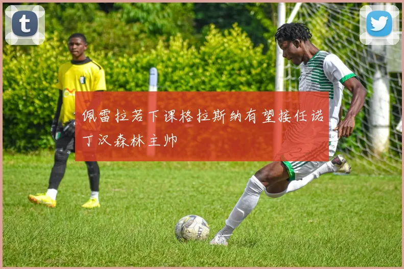 佩雷拉若下课格拉斯纳有望接任诺丁汉森林主帅