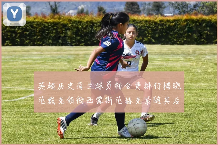英超历史荷兰球员转会费排行揭晓范戴克领衔西蒙斯范赫克紧随其后