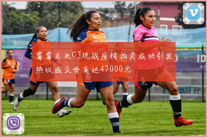 霉霉东决G3观战座椅拍卖成功引发热议成交价高达47000元