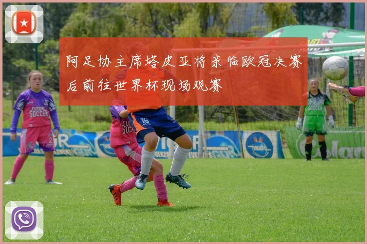 阿足协主席塔皮亚将亲临欧冠决赛后前往世界杯现场观赛